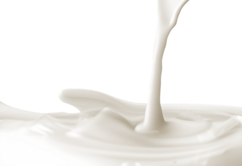 Milk Splash  on transparent png, easy to use