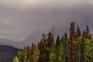 nature sceneries along the Highway from Prince George to Jasper National Park, Alberta, Canada 