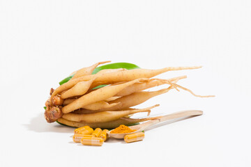 french fries on white background