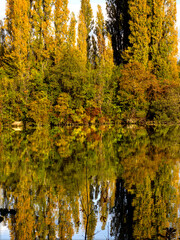 Obraz premium Up or down