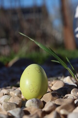 Hidden Easter eggs searched by children, Easter concept.
