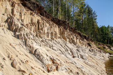 Interesting texture of weathered sand on a steep bank with pine trees