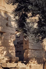 Foto op Canvas Ruins of a temple in athens © Noe Lcs