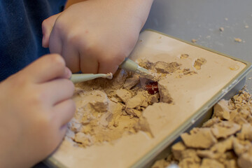 The child is busy excavating minerals hidden in a special plaster