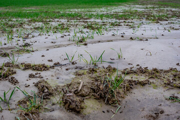 Sehr nasser Ackerboden nach Starkregen