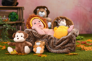 Cute baby newborn dressed as a lion
