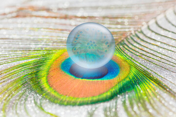 Peacock in a crystal ball on a peacock feather