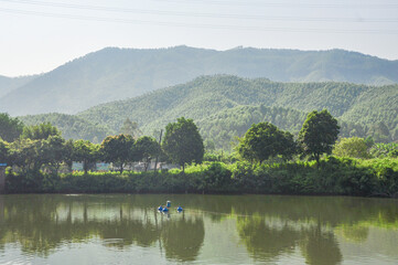 Obraz premium Lake in the Lanshi Park,Jiangmen,Guangdong,China.The Lanshi Park also called Jiangmen Botanical Garden.