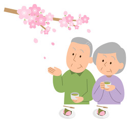 お花見するシニア夫婦