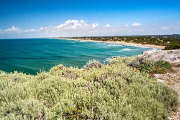 Sabaudia, district of Latina, Lazio, Italy, view of Sabaudia beach