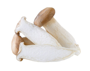 oyster mushrooms on transparent png