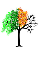 silhouette d'arbre au feuillage des quatre saisons