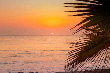 Fototapeta na wymiar Beautiful sunrise at sea. Dawn on the Red Sea. The sun is reflected in the sea. Palm trees and palm leaves against the background of the rising sun. Tropical sunrise