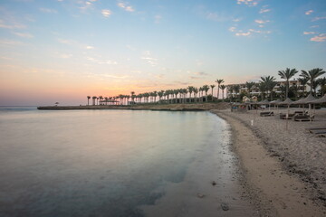 Fototapeta premium Palm trees on the seashore before dawn. Beautiful sunrise at sea. Dawn on the Red Sea. The sun is reflected in the sea. Palm trees against the background of the rising sun. Tropical sunrise
