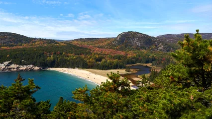 Foto op Canvas sand beach in acadia national park © Thomas