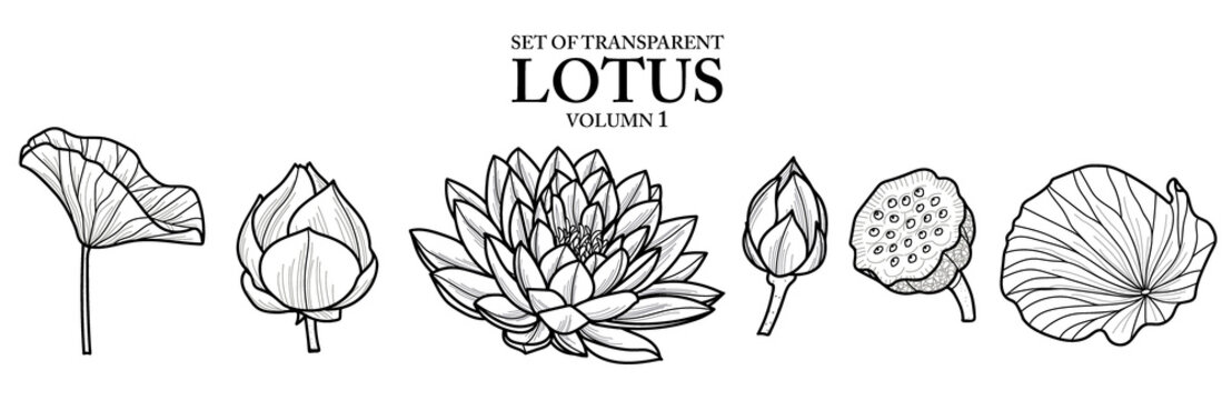 Cute hand drawn isolated black outline lotus on transparent background png file (Volumn 1)