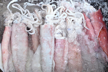 The fresh raw splendid squid in the Rawai Seafood Market, Phuket, Thailand are ready for selling...