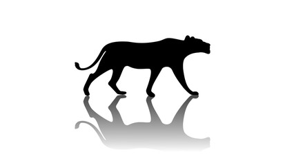 Lioness silhouette