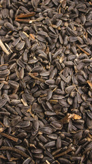 Sunflower seeds background, close up