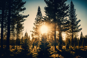 Sunlight and pine trees in the distance. Generative AI
