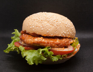 health care hamburger