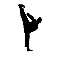 silhouette of a martial arts move with a transparent background © Alfian