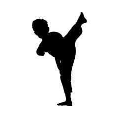 silhouette of a martial arts move with a transparent background