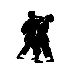 silhouette of a martial arts move with a transparent background