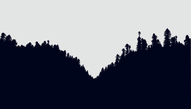 Background with evergreen forest silhouettes