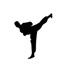 silhouette of a martial arts move with a transparent background
