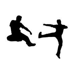 silhouette of a martial arts move with a transparent background