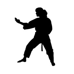 Fototapeta na wymiar silhouette of a martial arts move with a transparent background
