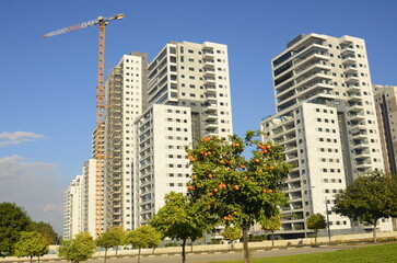 Fototapeta premium Construction of a residential building. Construction crane, tree with orange fruits. Garden next to an apartment building. Concept: buying a home, investment, mortgage, loan, price increase, real esta