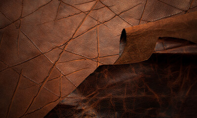 Close-up of brown leather surfaces. Texture. Minimal composition. Dark background