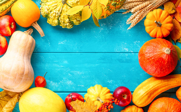 Autumn still life image frame with pumpkins, melon, rye, apples, rowan and grapes with free space on blue woooden table. Thanksgiving autumn concept background.