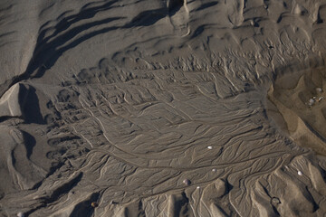 Muster im Strand von Texel
