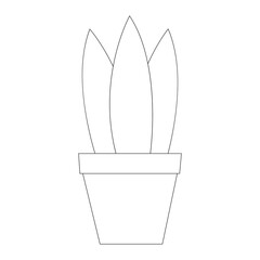 Simple flat brown flower pot for home plants with green long cactus black line