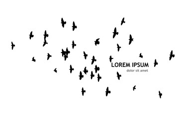 A flock of flying birds. Free birds. Vector illustration