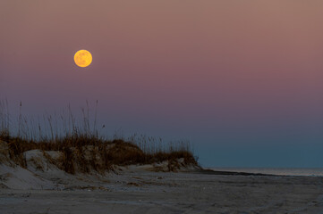 Wolf Moon over Dunes and Ocean