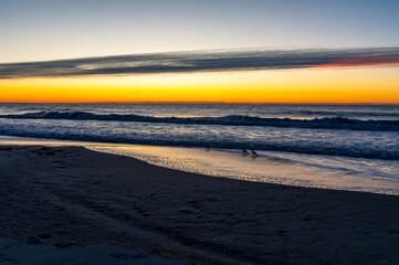 Beach Sunrise with Birds and Shelf Cloud