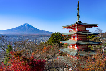 山梨県富士吉田市　新倉山浅間公園の紅葉