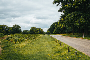 Carretera en parque