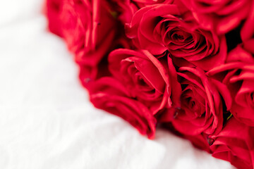 Background with roses for Valentine's Day. Valentine's Day. Red roses close up