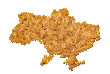 grain on a white background in the shape of a map of Ukraine; in the outline of the map; export of agricultural products; food industry of Ukraine; a large number of raisins in the shape of a country 