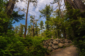 seascape along the Vancouver Island coastline, british columbia, canada
