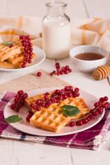 Waffle with red currant and honey on white dish.