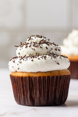 Close-up of a vanilla cupcake decorated with a topping of cream cheese, chocolate chips and poppy seeds, on a light tile and marble background. Birthday concept.