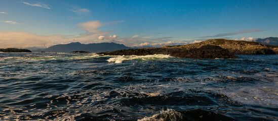pacific ocean seascape in front of Tofino, Vancouver Island, Canada © fruttuoso