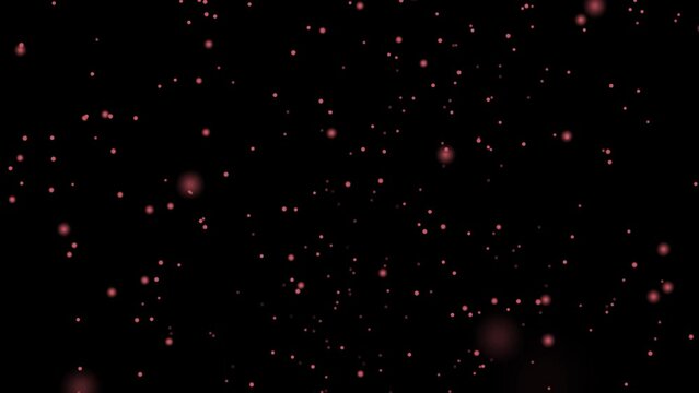Motion design lexus 4K. Motion graphics web on a swamp background. Background with connections. The dust connects. Particle connection, plexus