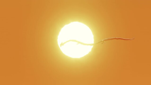 Gold chinese dragon flying on the sky and sun in background with 3d rendering.Heat haze effect in the scene.
